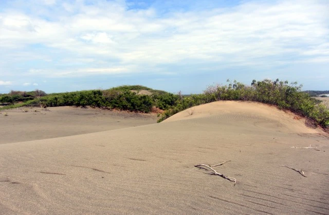 Dunes de Bani Peravia